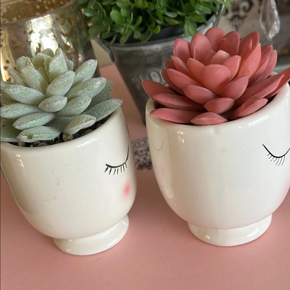 Feminine Face Planters with faux Succulents in pink and green set of two